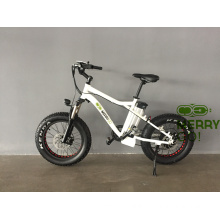 Hot Sale 4.0inch Electric Fat Bicycle for Ladies on Good Price